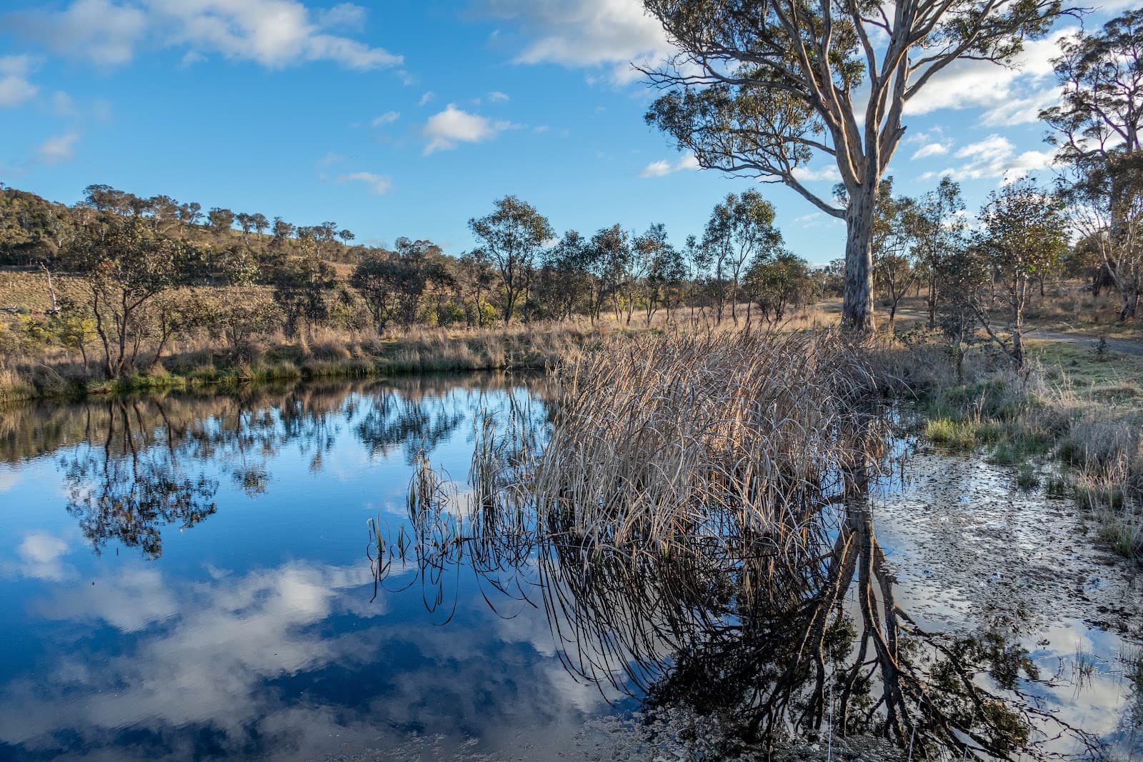 Goorooyarroo Nature Reserve — Gungahlin, Canberra