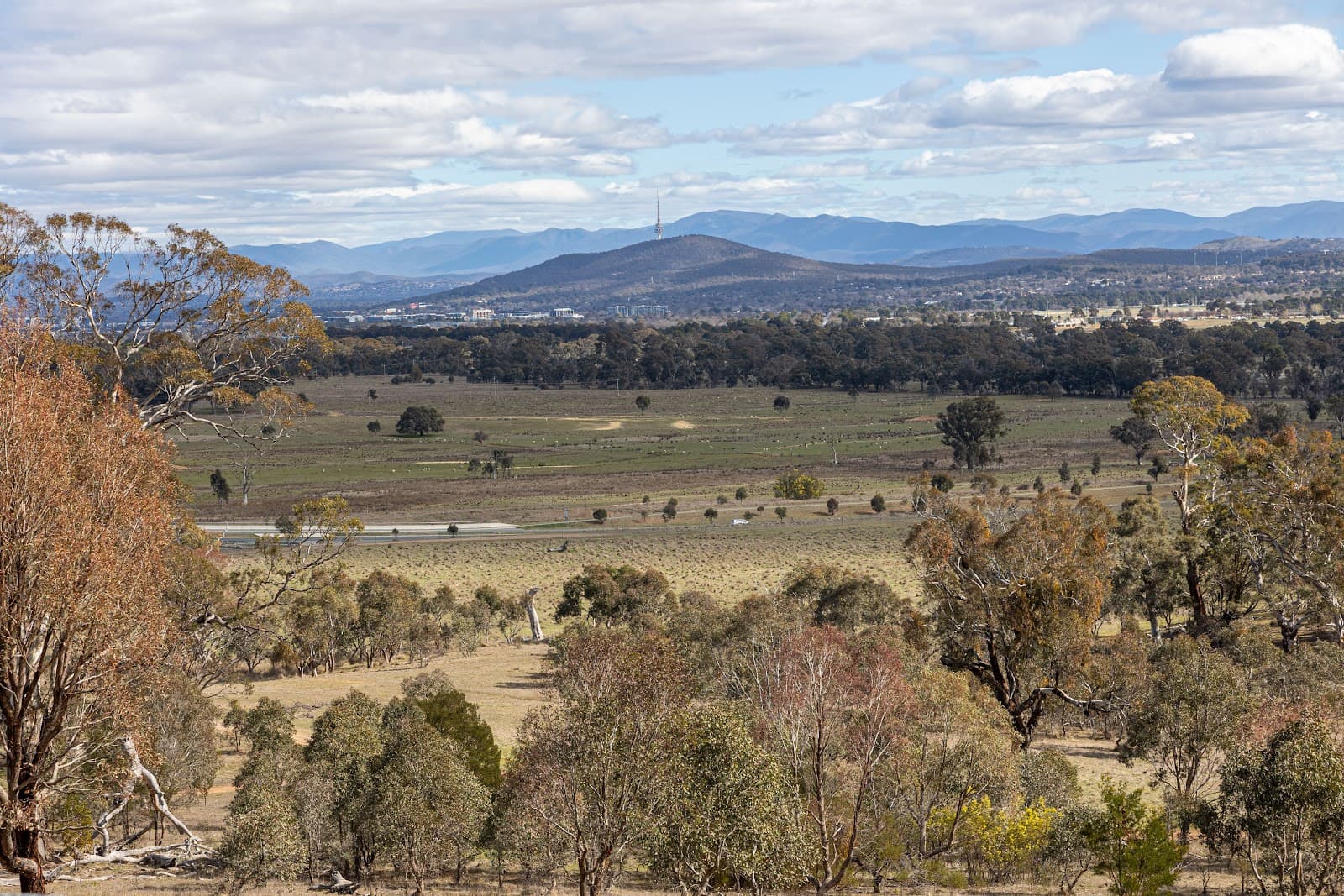 Goorooyarroo Nature Reserve — Gungahlin, Canberra