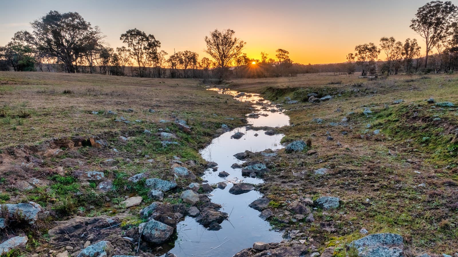 Goorooyarroo Nature Reserve — Gungahlin, Canberra