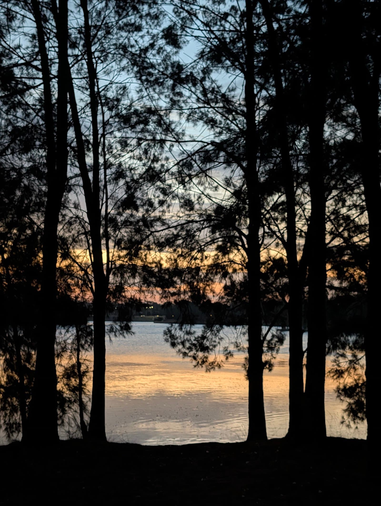 Eastern Island Walkway — Gungahlin, Canberra