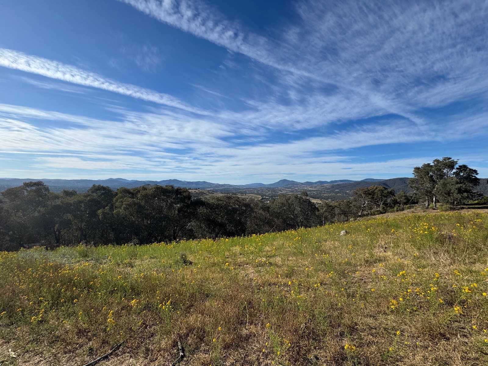 McQuoids Hill Walking Trail — Tuggeranong, Canberra