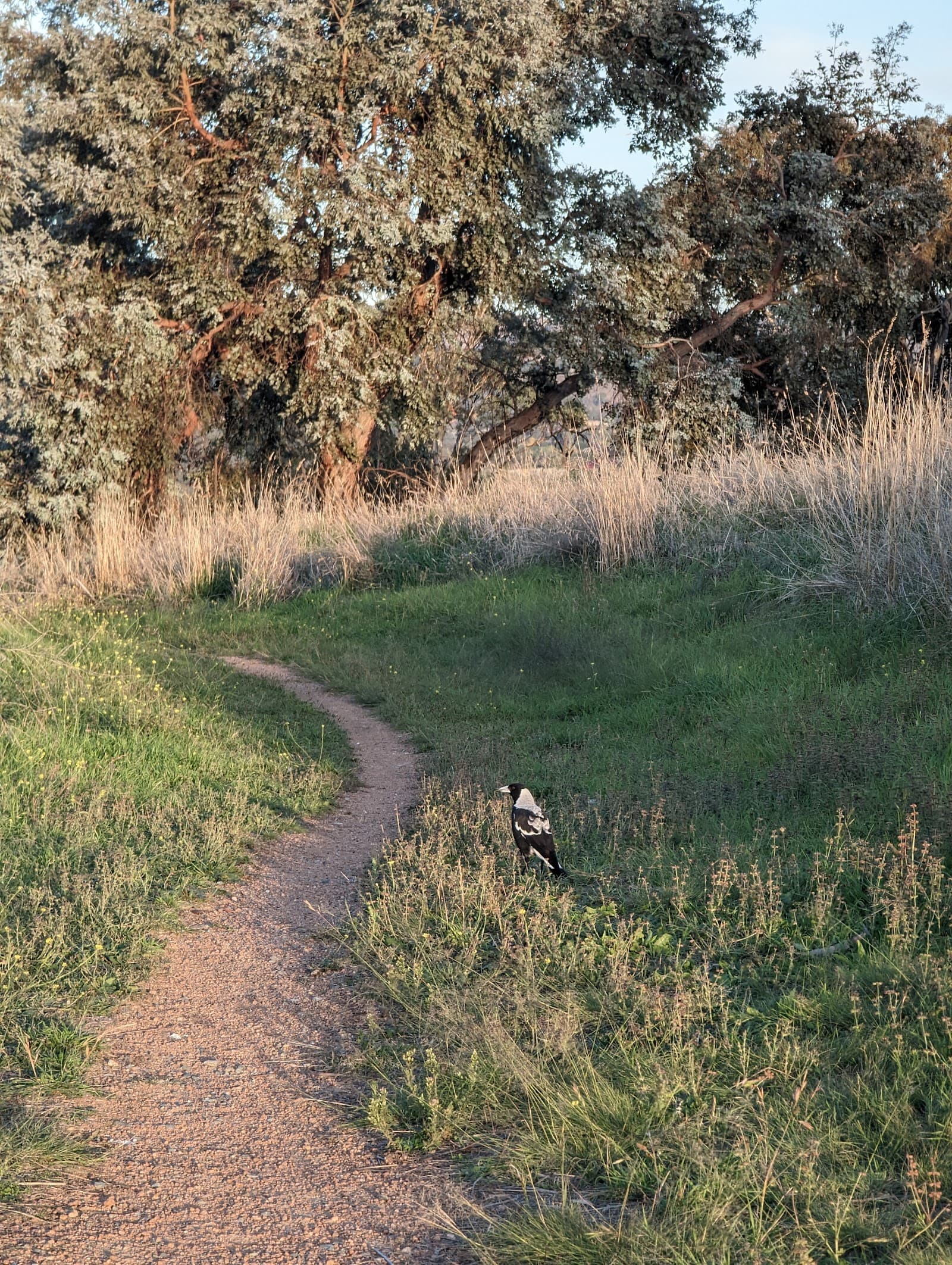 Oxley Hill — Tuggeranong, Canberra