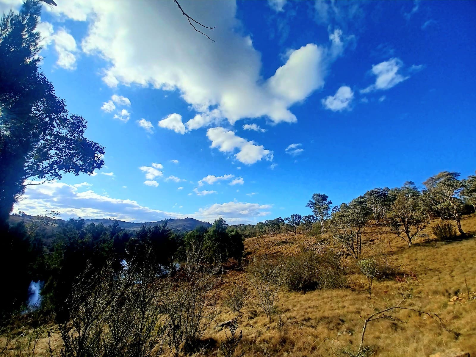 Murrumbidgee Discovery Track — Tuggeranong, Canberra