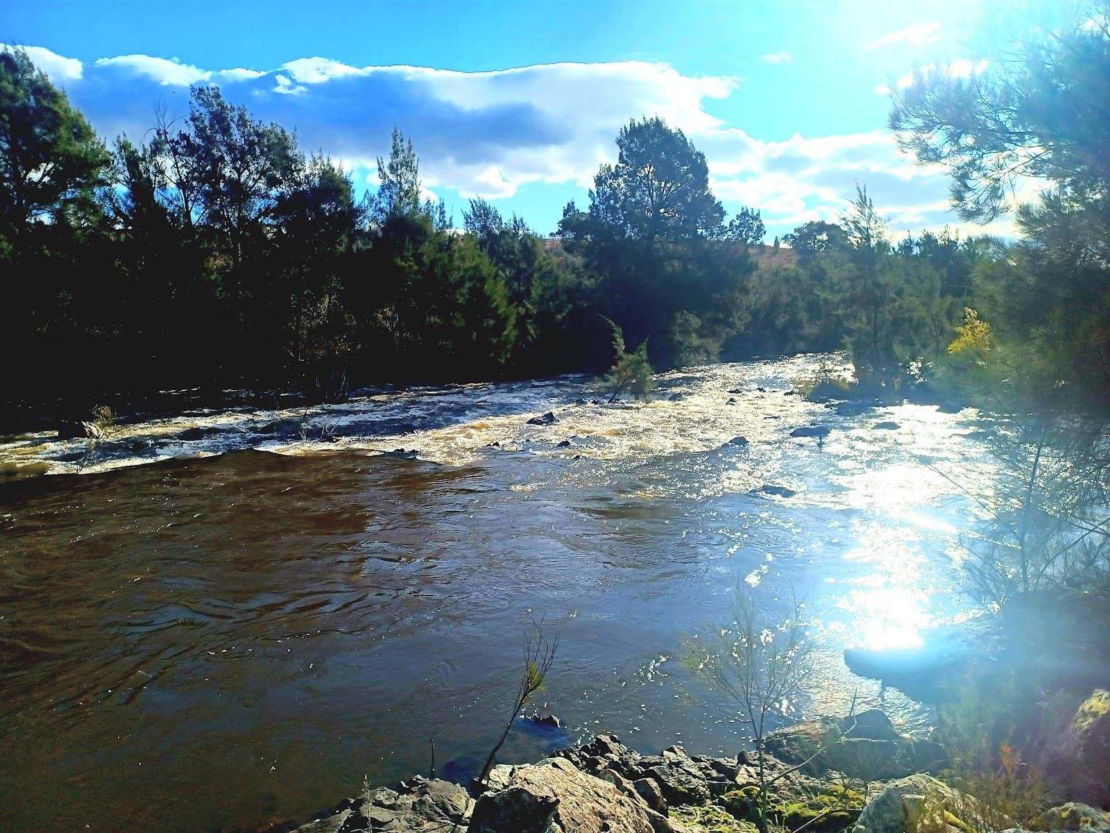 Murrumbidgee Discovery Track — Tuggeranong, Canberra