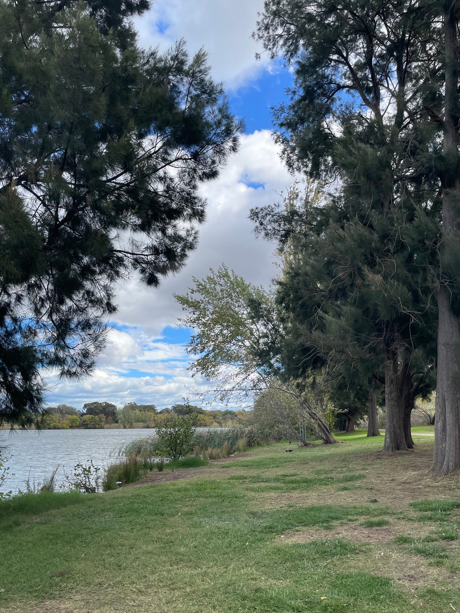 Black Mountain peninsula lookout — Gungahlin, Canberra