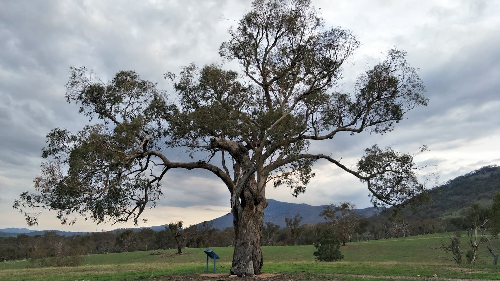 Lambrigg's Lookout — Barton, Canberra