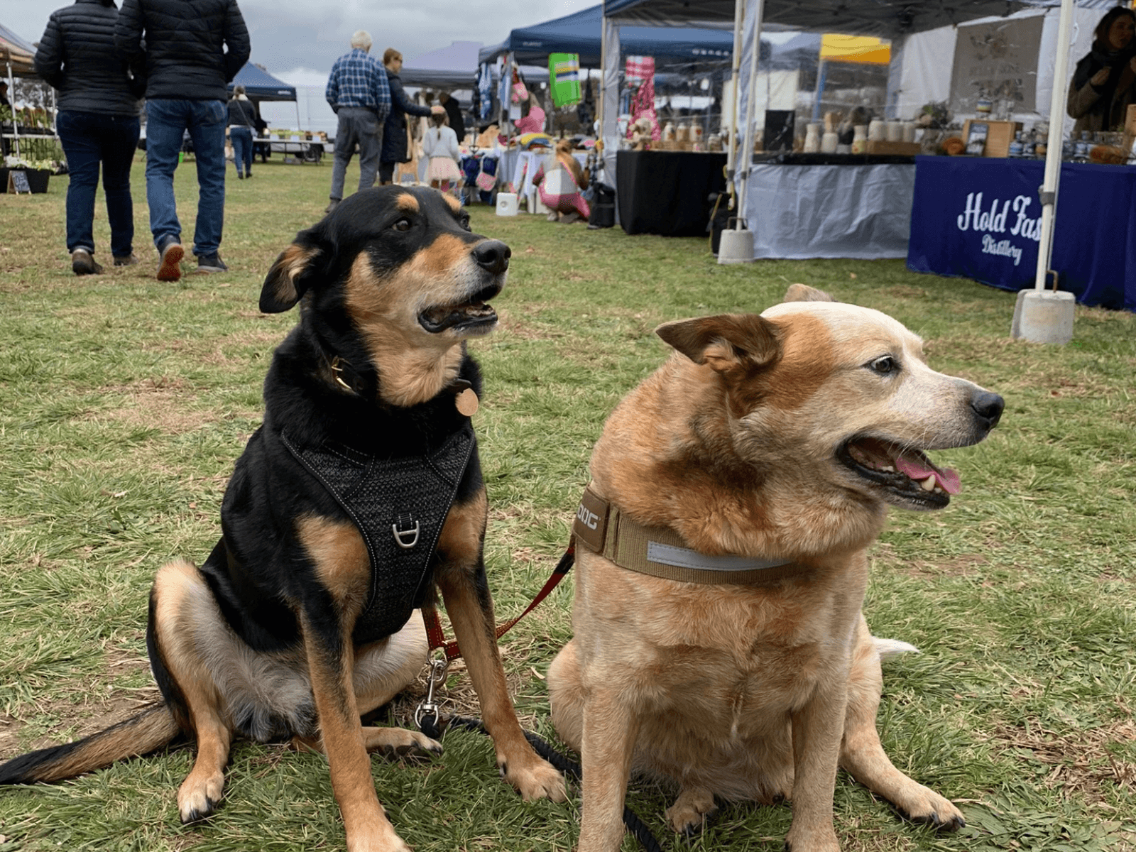 Sutton Village Country Markets — Barton, Canberra