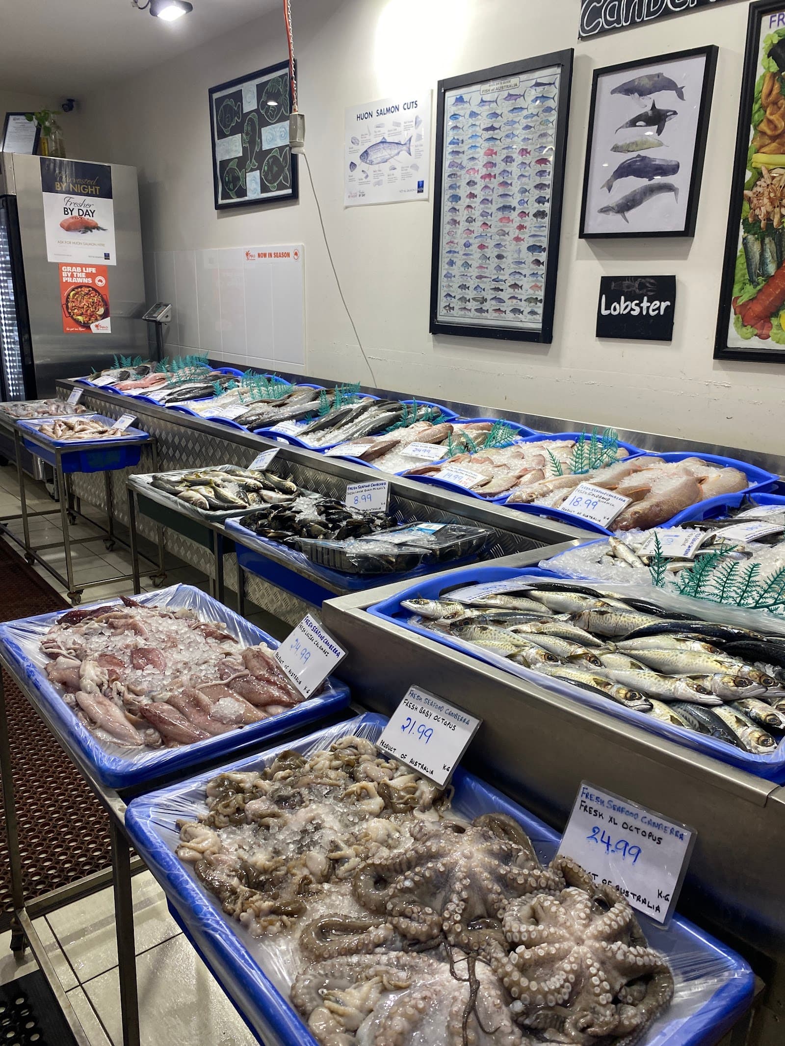 Fresh Seafood Canberra — Gungahlin, Canberra