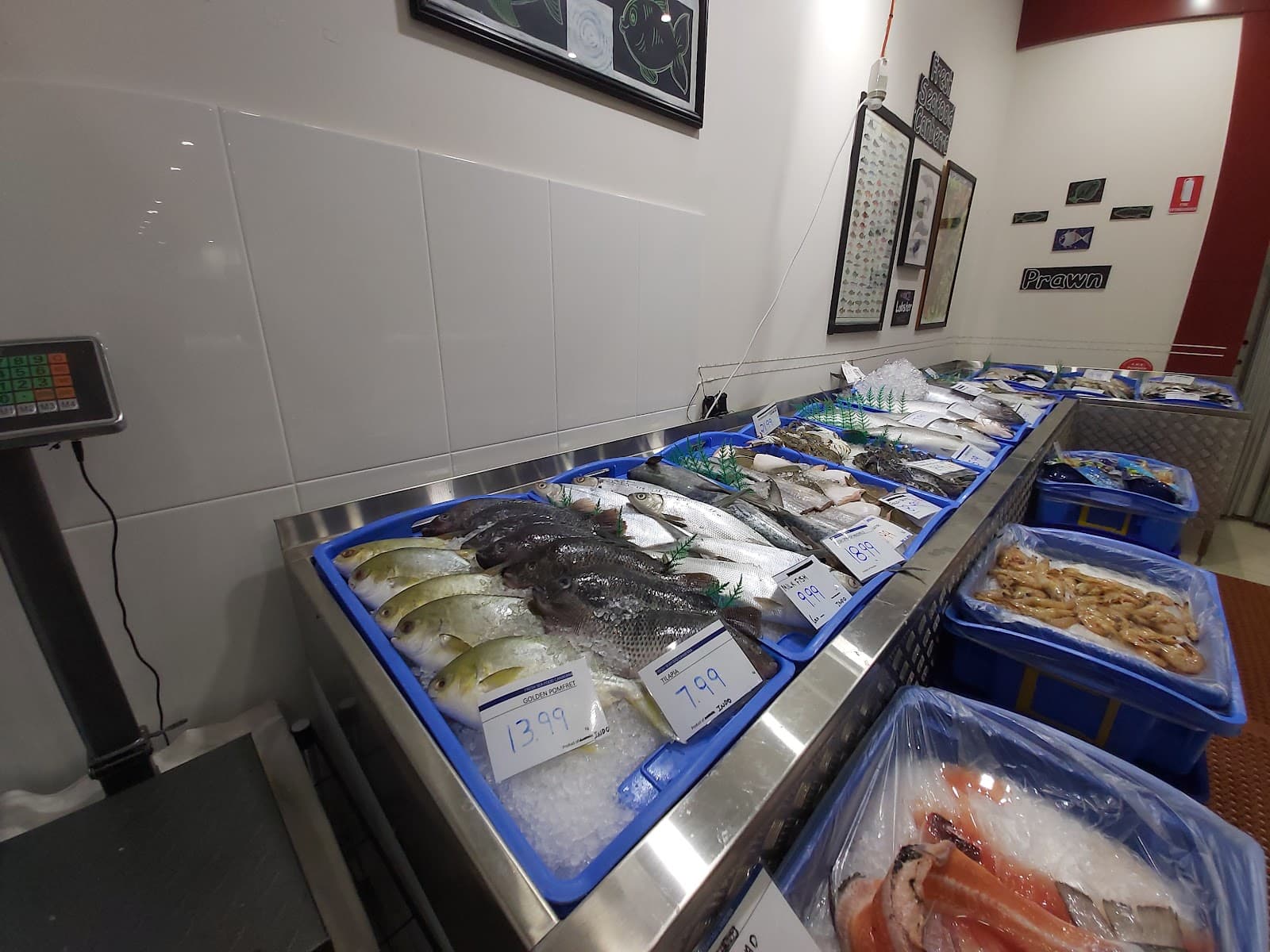 Fresh Seafood Canberra — Gungahlin, Canberra