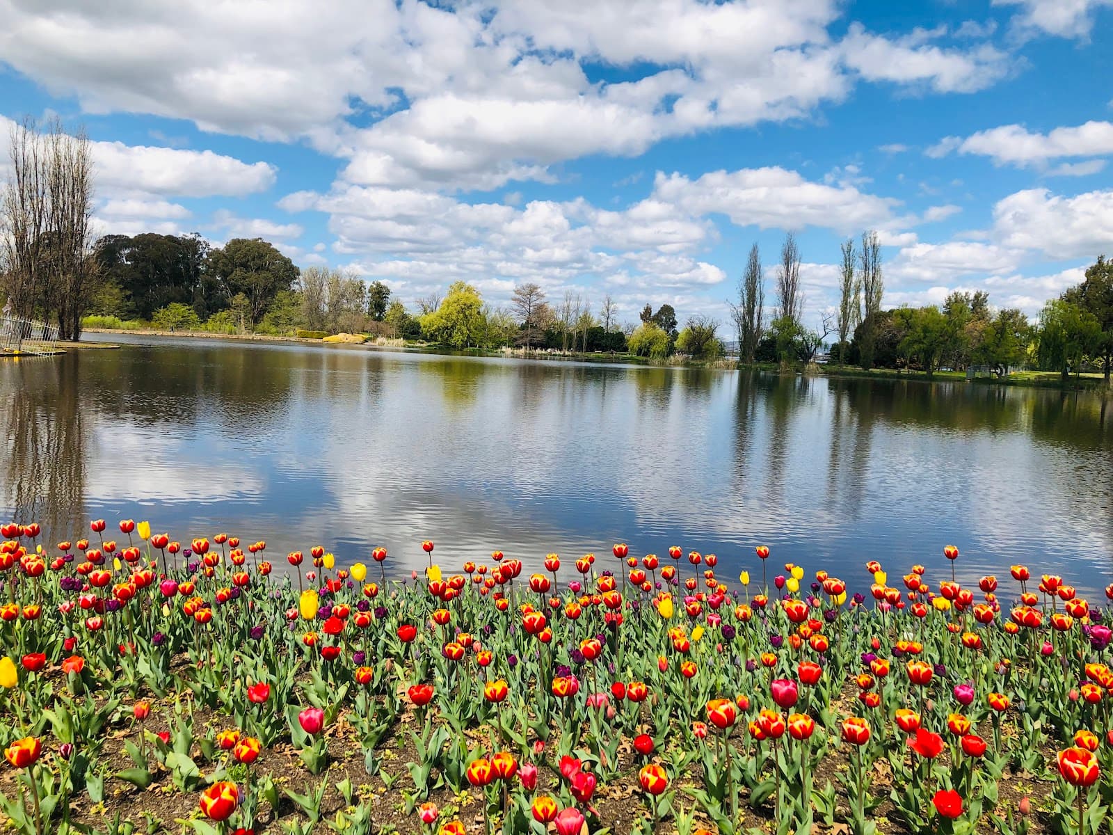Stage 88 — Tuggeranong, Canberra