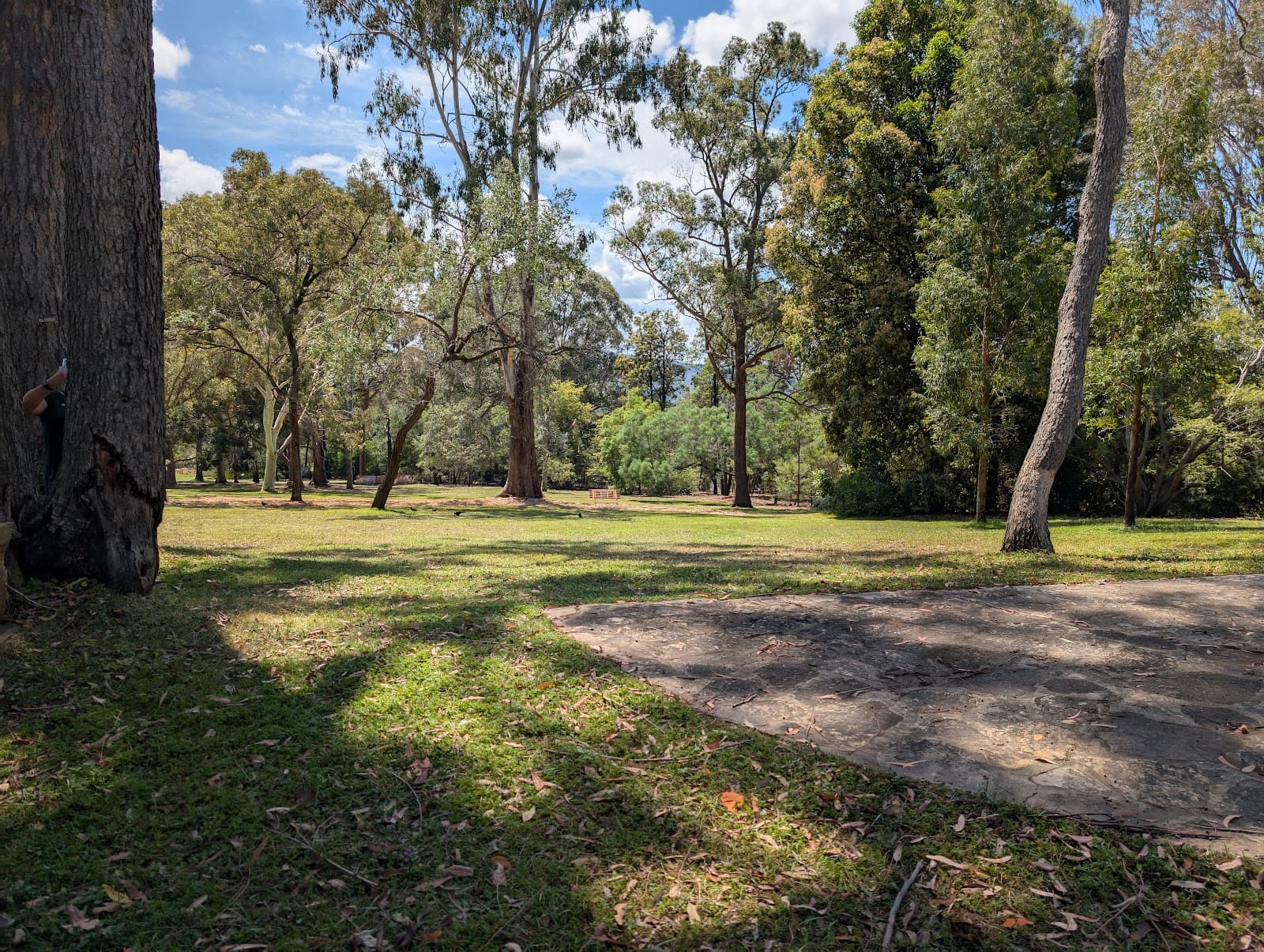 Australian National Botanic Gardens — Dickson, Canberra