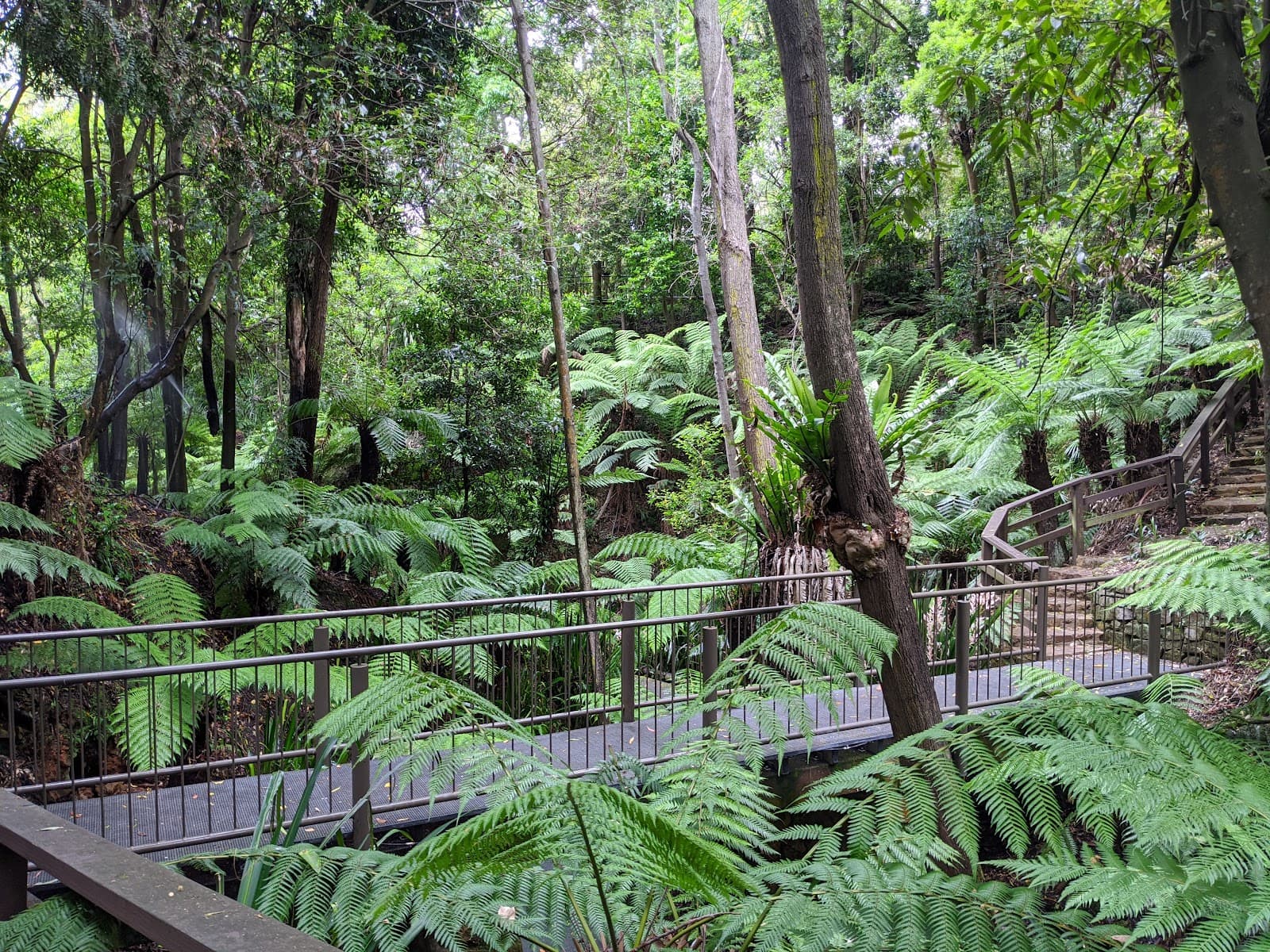 Australian National Botanic Gardens — Dickson, Canberra