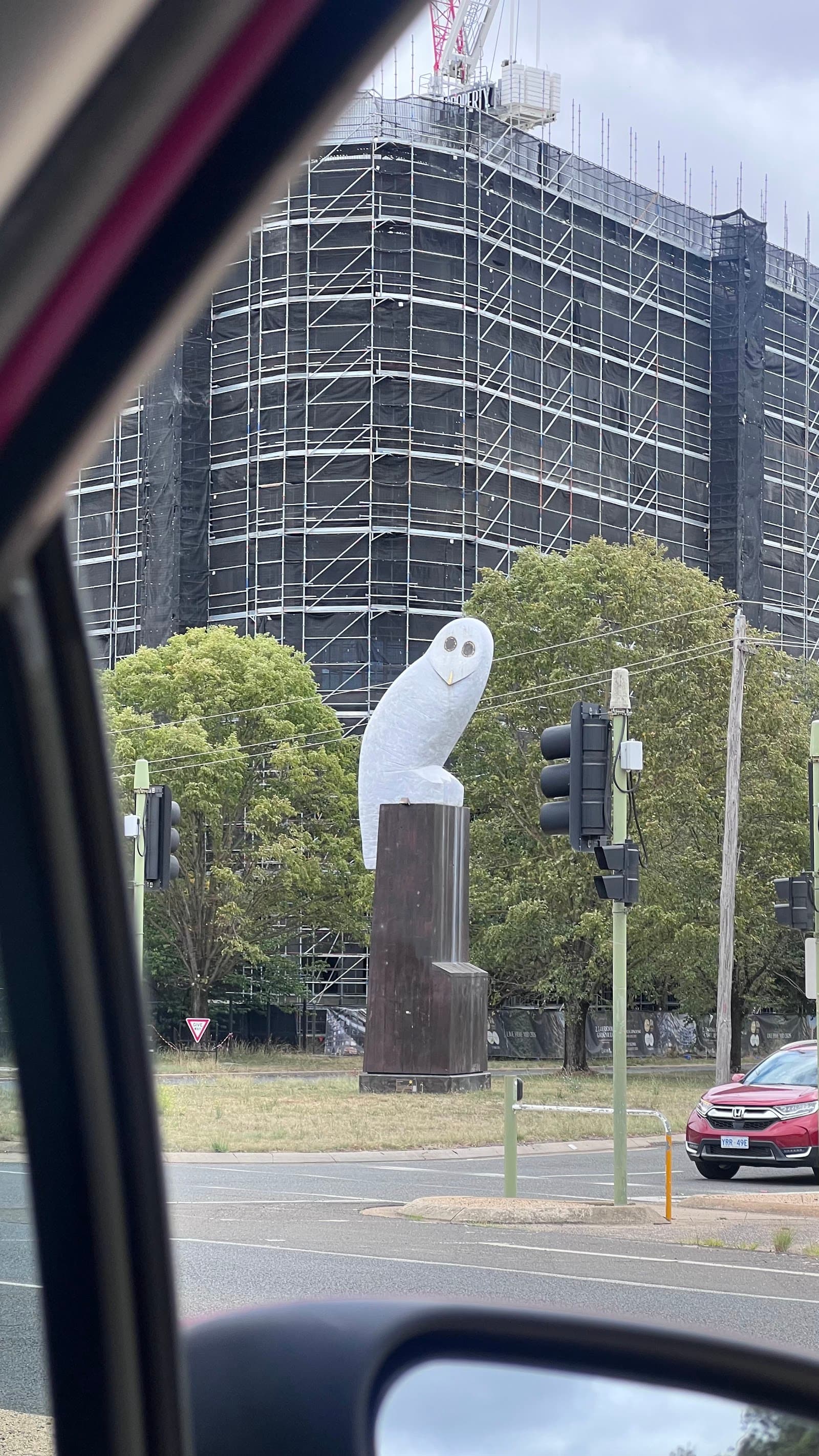 Owl — Belconnen, Canberra