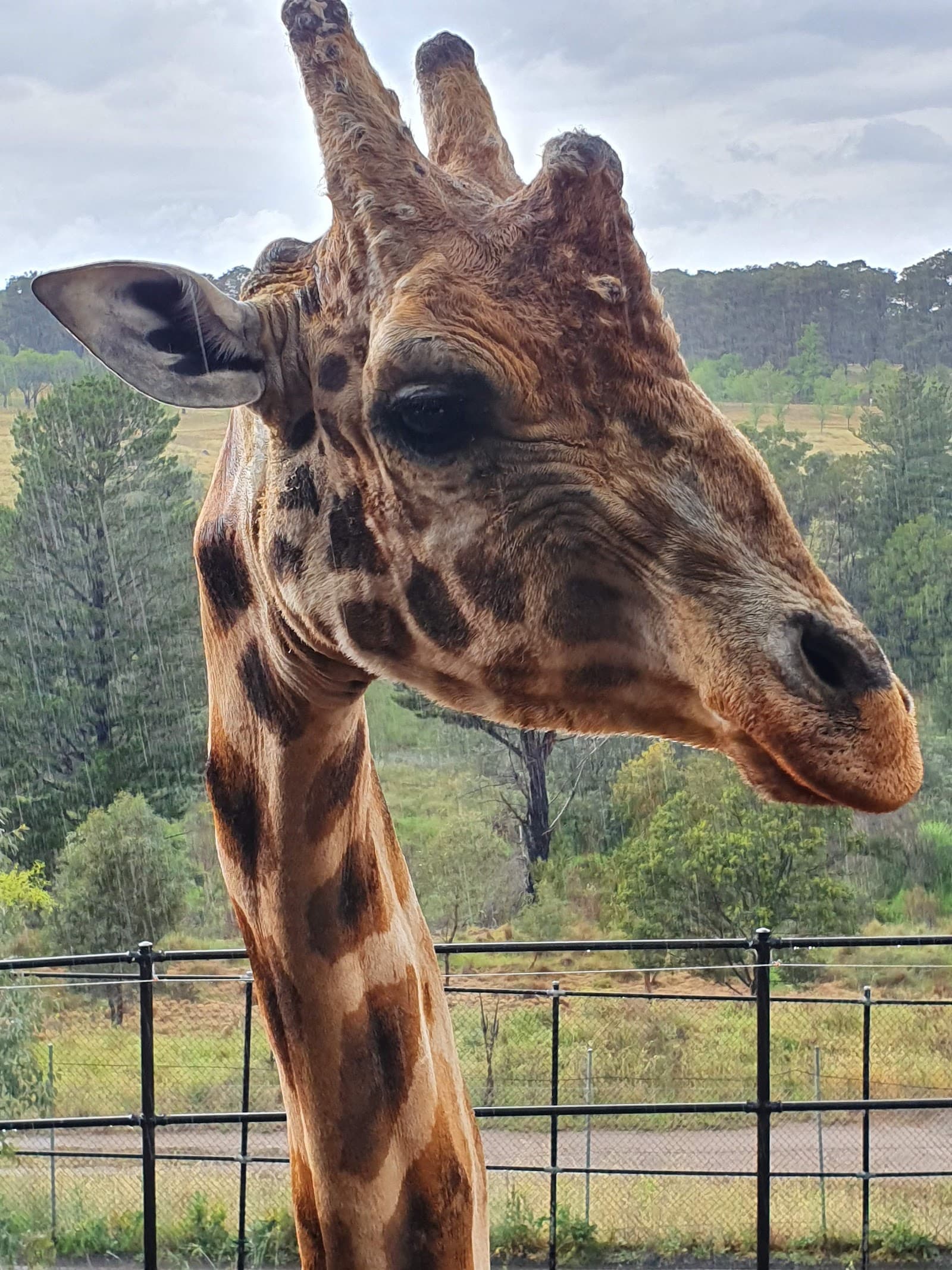 National Zoo & Aquarium — Tuggeranong, Canberra