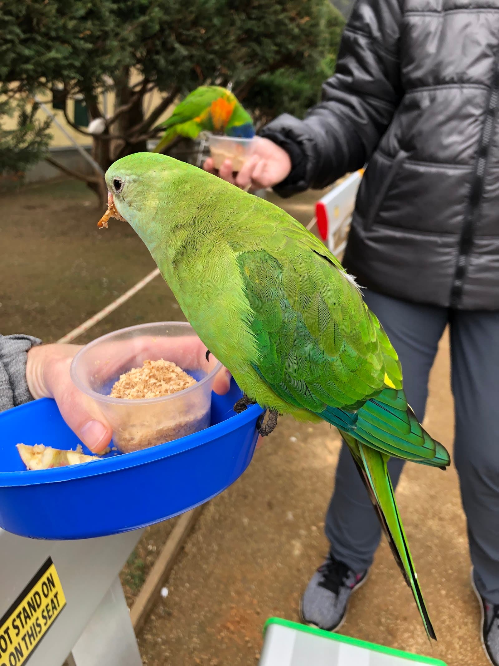 Canberra Walk-In Aviary — Gungahlin, Canberra