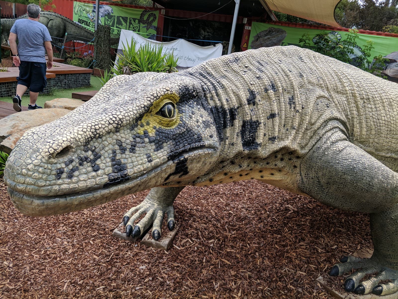 Canberra Reptile Zoo — Gungahlin, Canberra