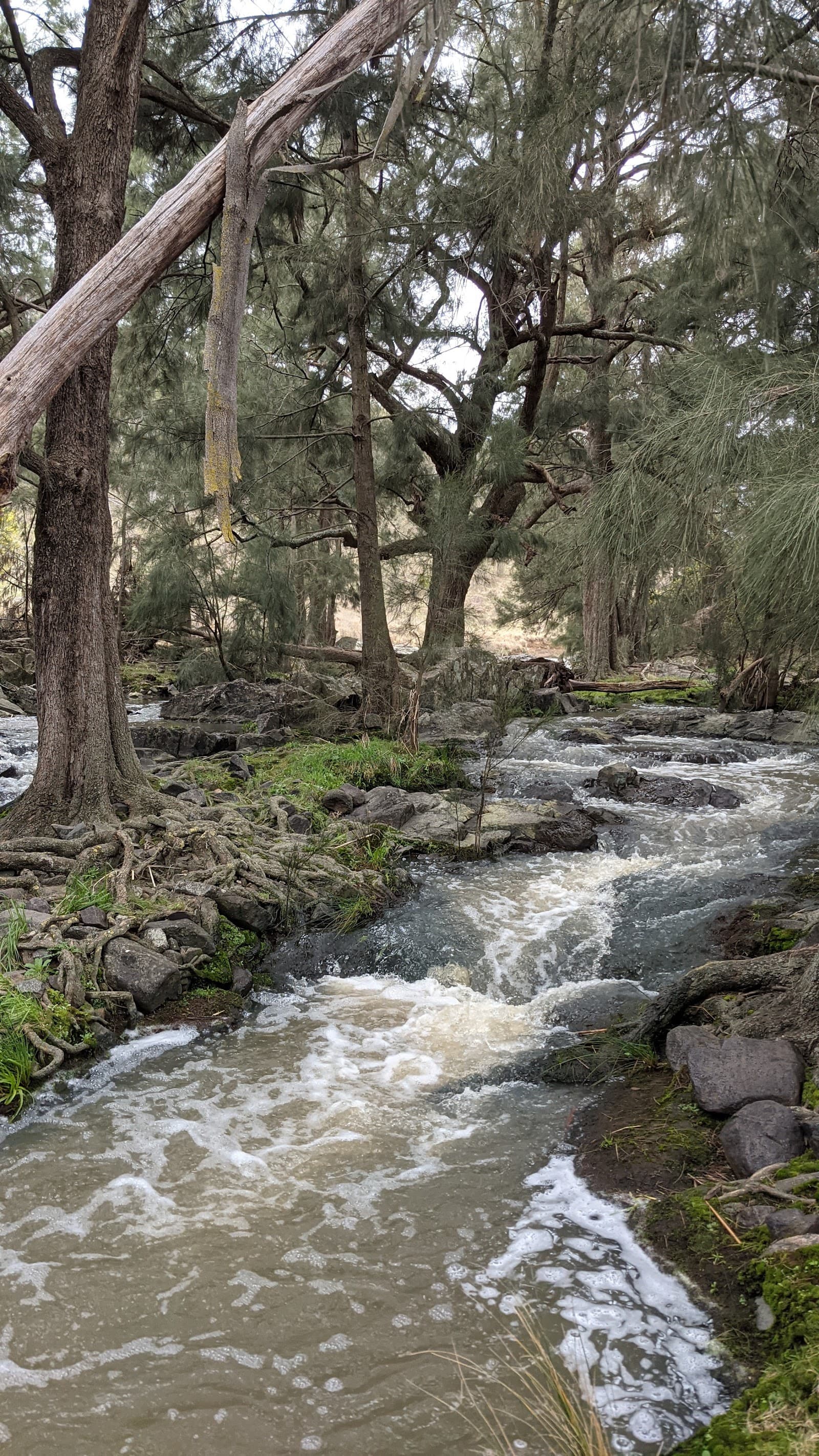 Tuggeranong Creek Rapids — Tuggeranong, Canberra