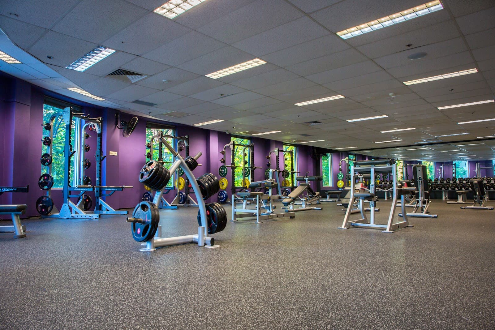 Anytime Fitness Canberra City — Kingston, Canberra