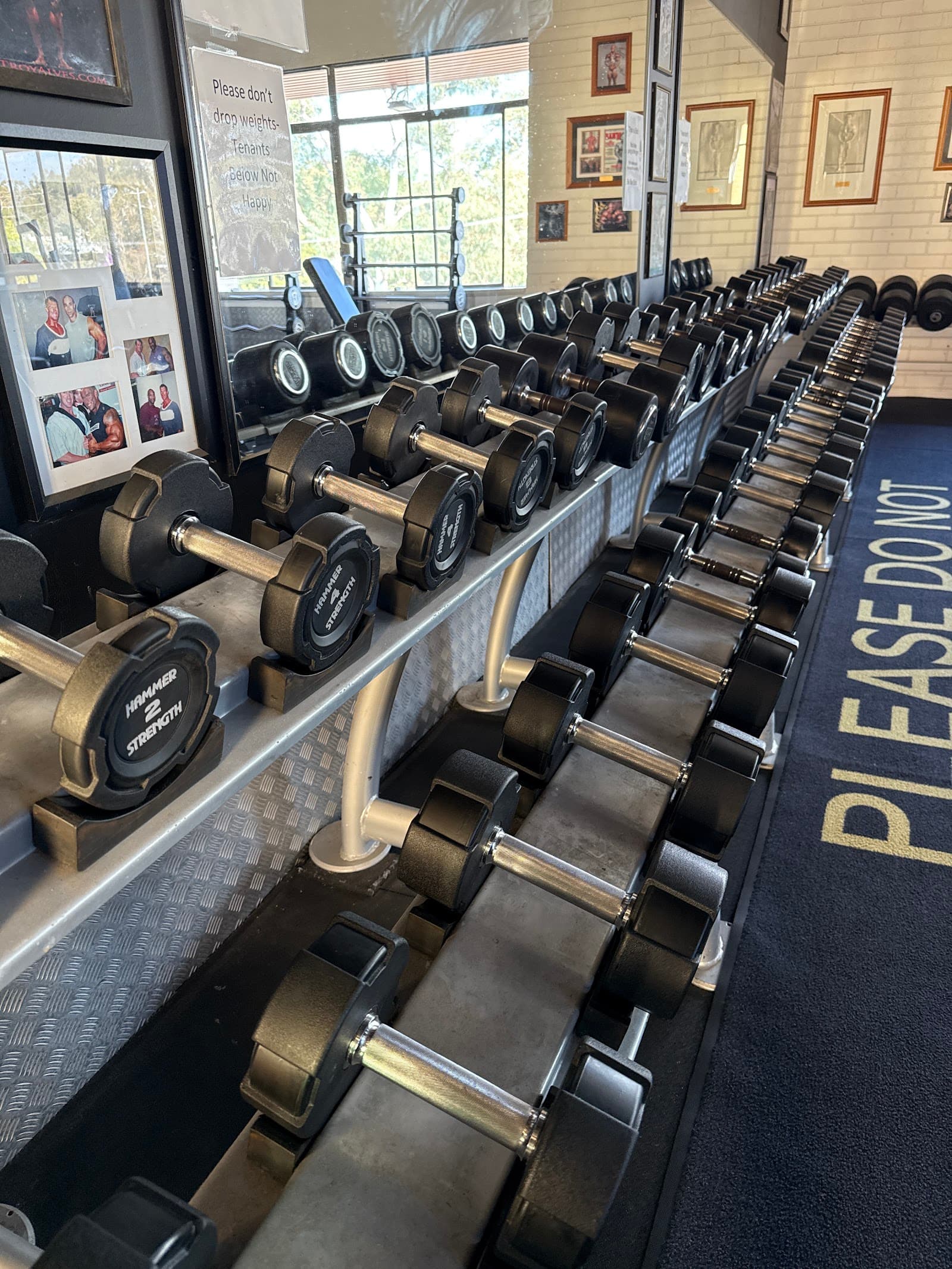 BodyBlitz Fitness — Belconnen, Canberra