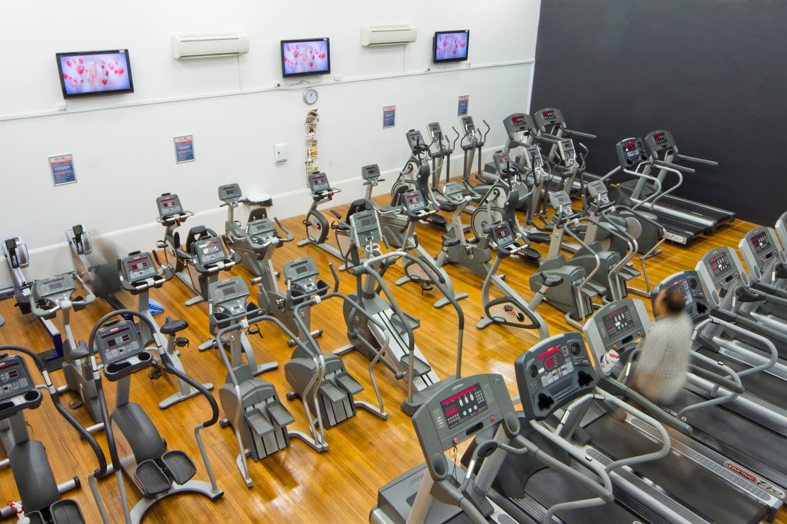 TEAM Fitness — Dickson, Canberra