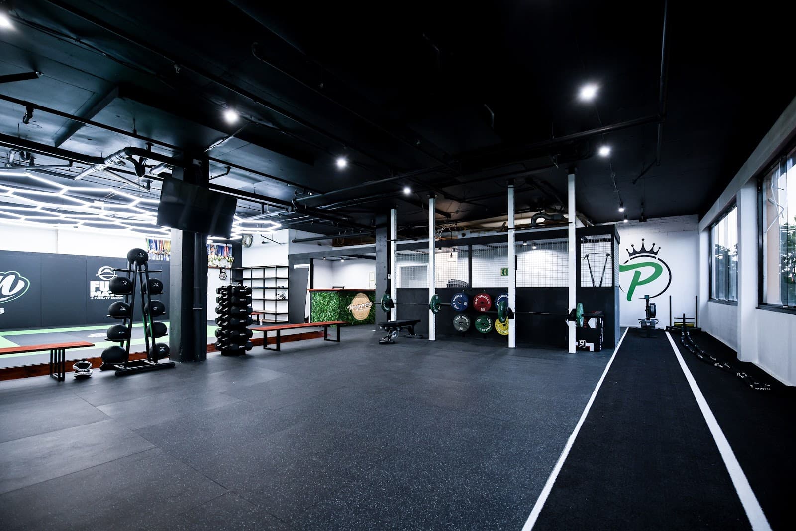 Progression MMA & Fitness — Tuggeranong, Canberra