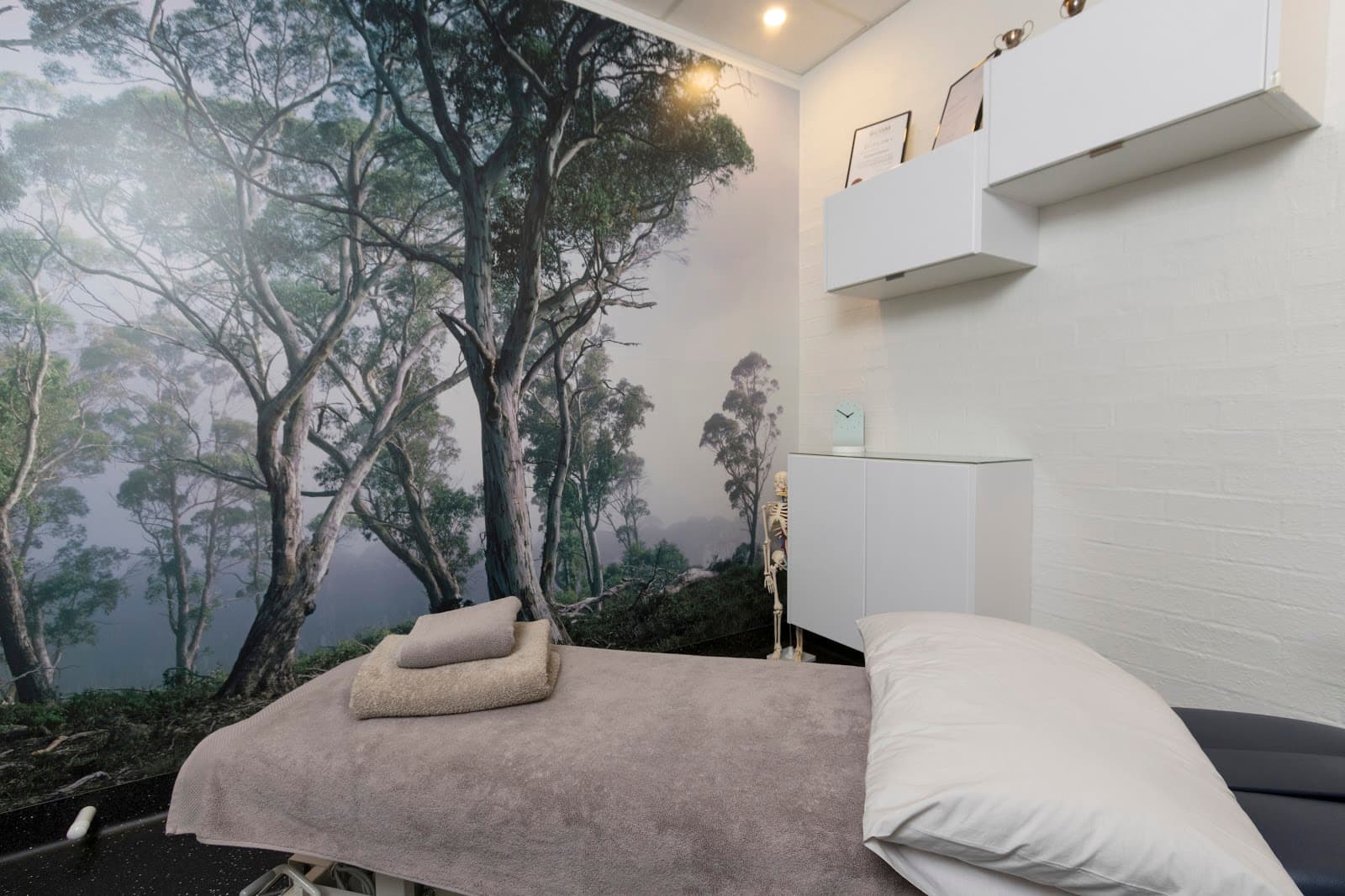 Step Into Health Care — Braddon, Canberra