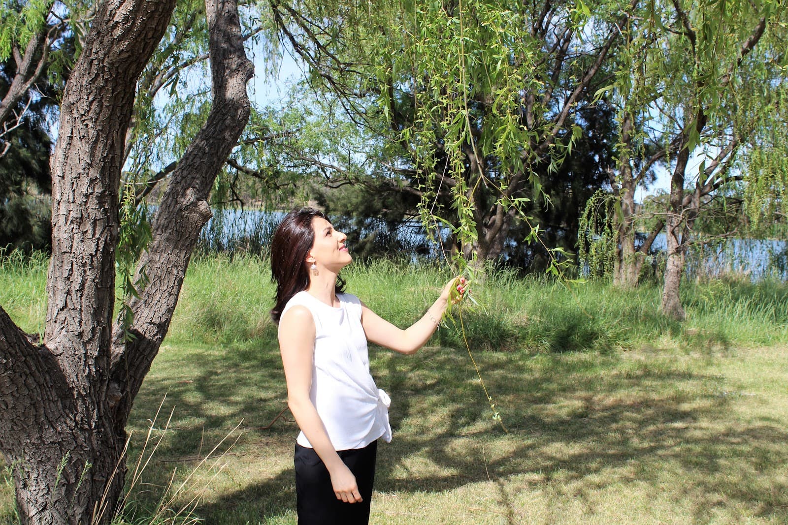 Naturopath Canberra - The Holistic Naturopath — Belconnen, Canberra