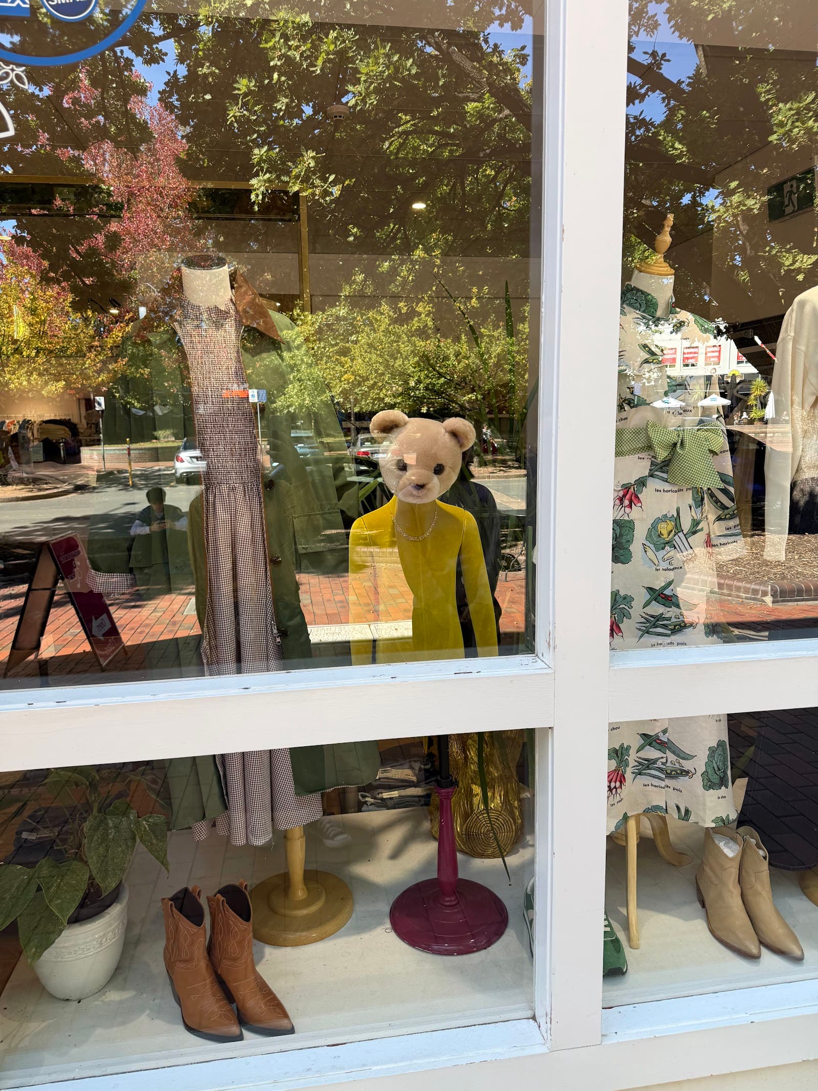 Honeysuckle and Lace — Barton, Canberra
