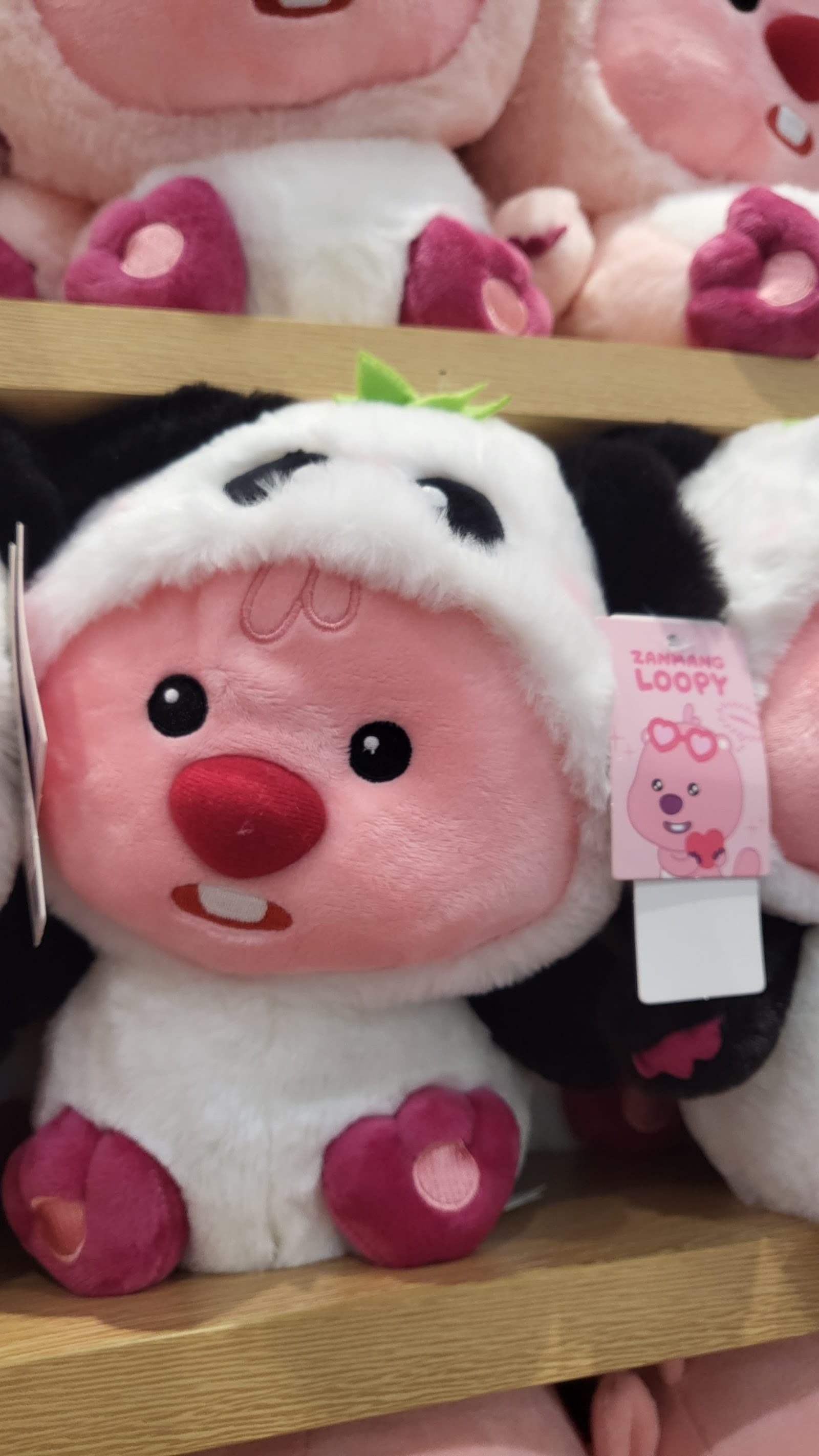 Miniso Gungahlin — Gungahlin, Canberra