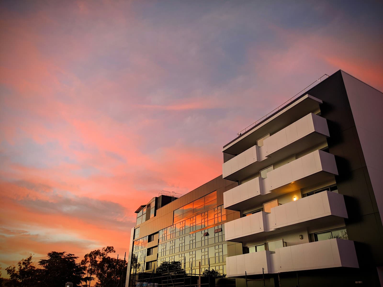 Canberra Rex Hotel — Braddon, Canberra
