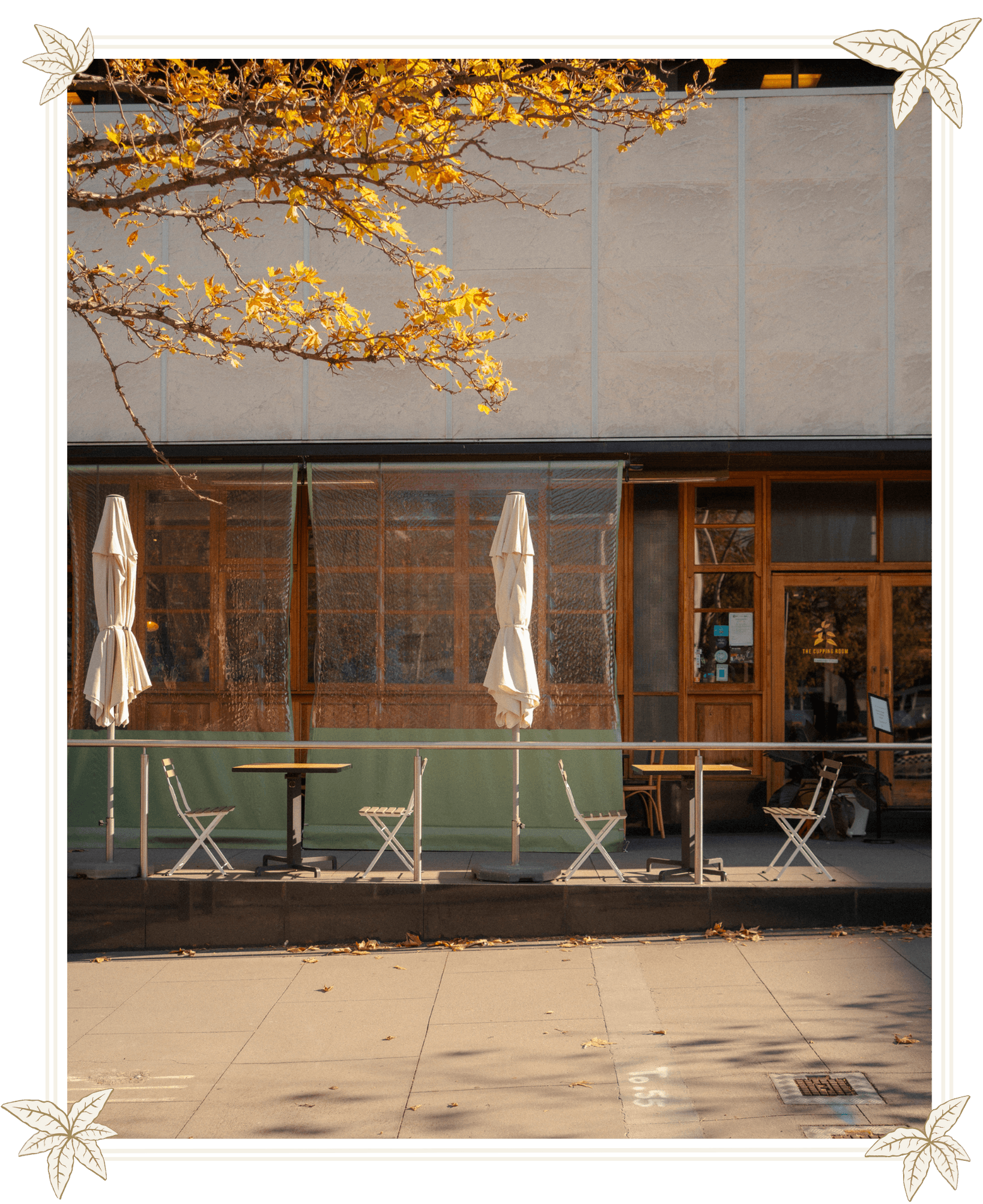 The Cupping Room | Cafe Canberra
