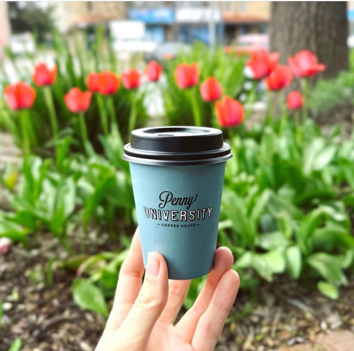 Penny University Cafe